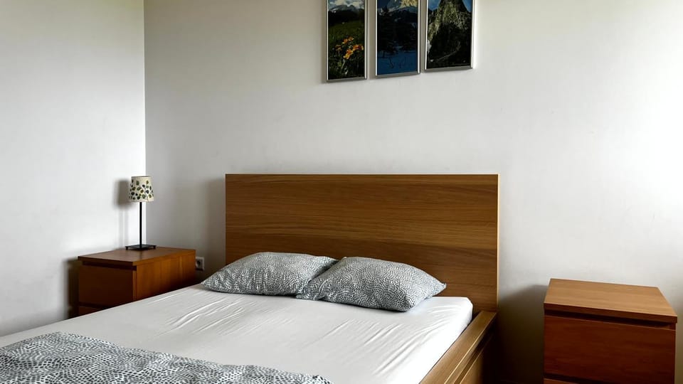 MSC Apartments Mountain View Zakopane Apartment in Zakopane