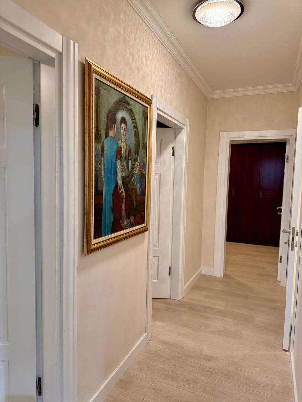 Millennium view Apartment in Podgorica