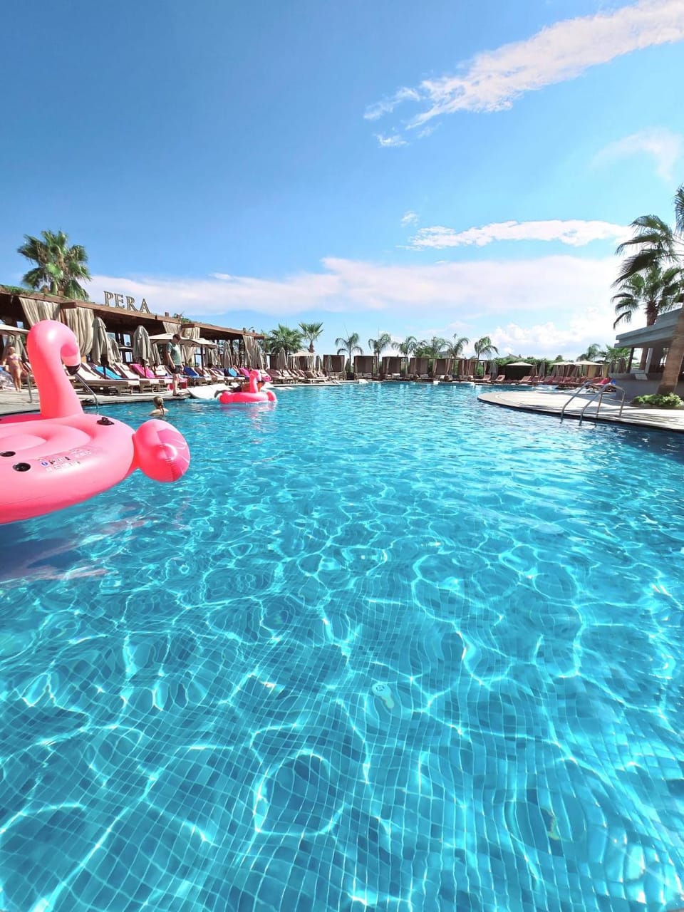 Day, Pool view, Swimming pool, sunbed