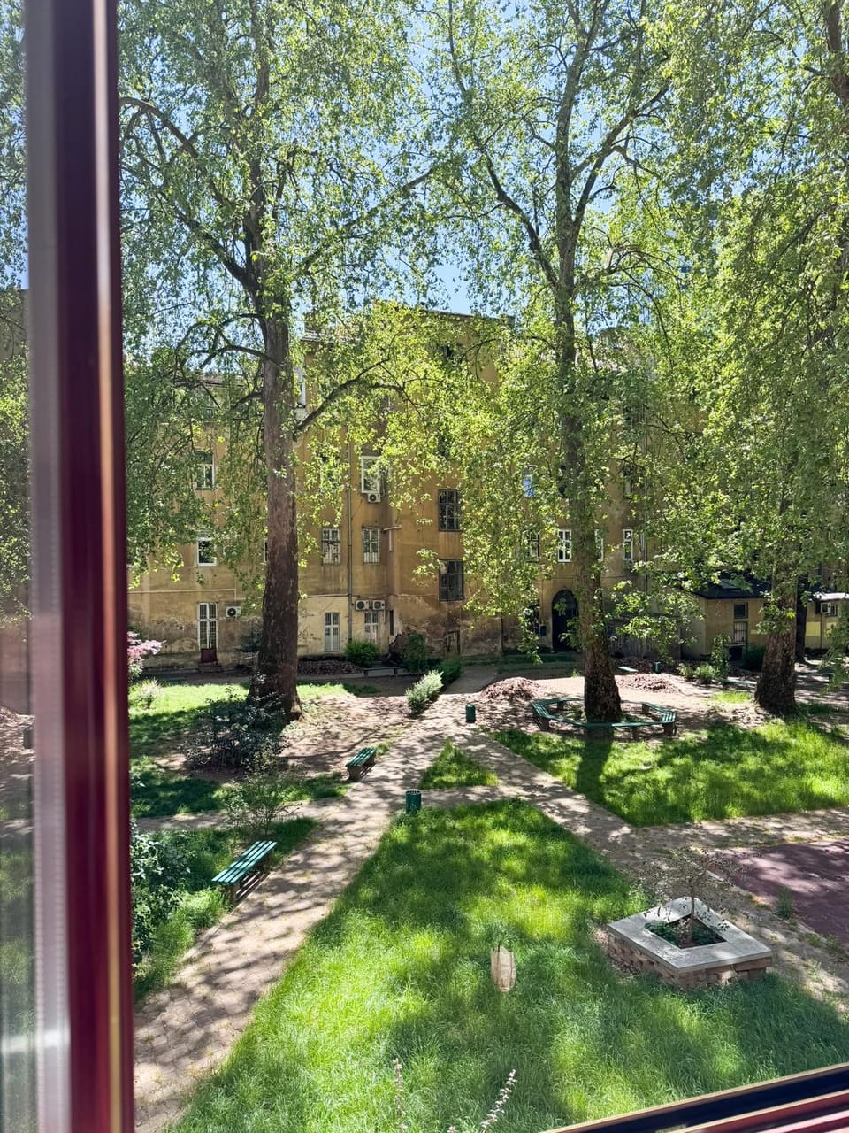 Garden