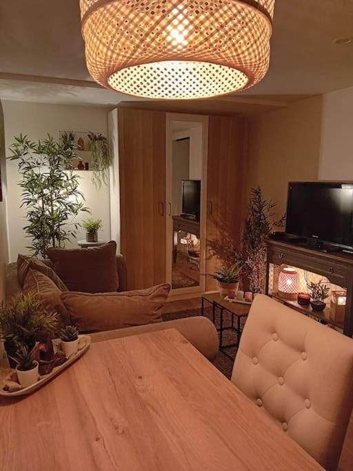 Le Cocon Cosy proche gare Apartment in Île-de-France