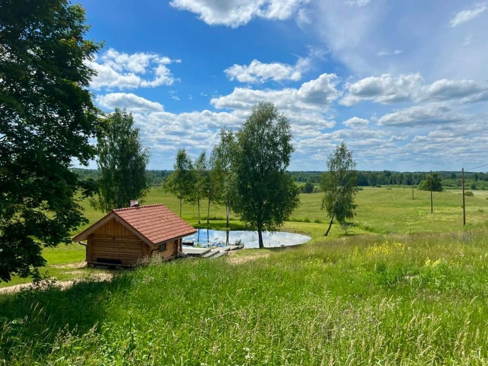 Restu Forest Saunahouse Chalet in Estonia