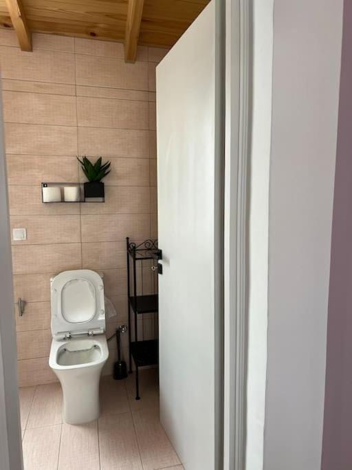 my son's reason to stay Apartment in Lasithi