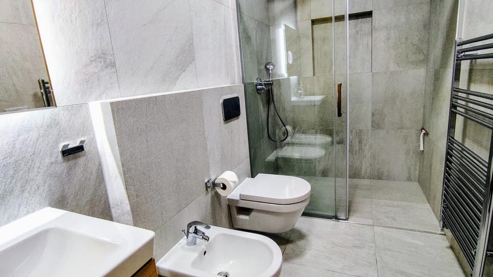 Shower, Toilet, Bathroom, bidet