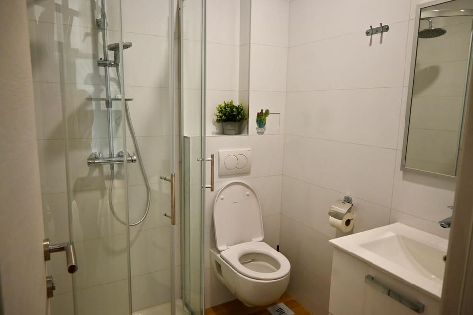 Shower, Toilet, Bathroom, towels