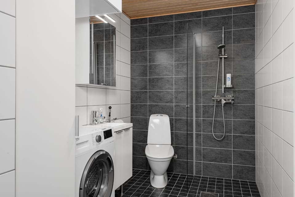 Shower, Toilet, Bathroom, washing machine
