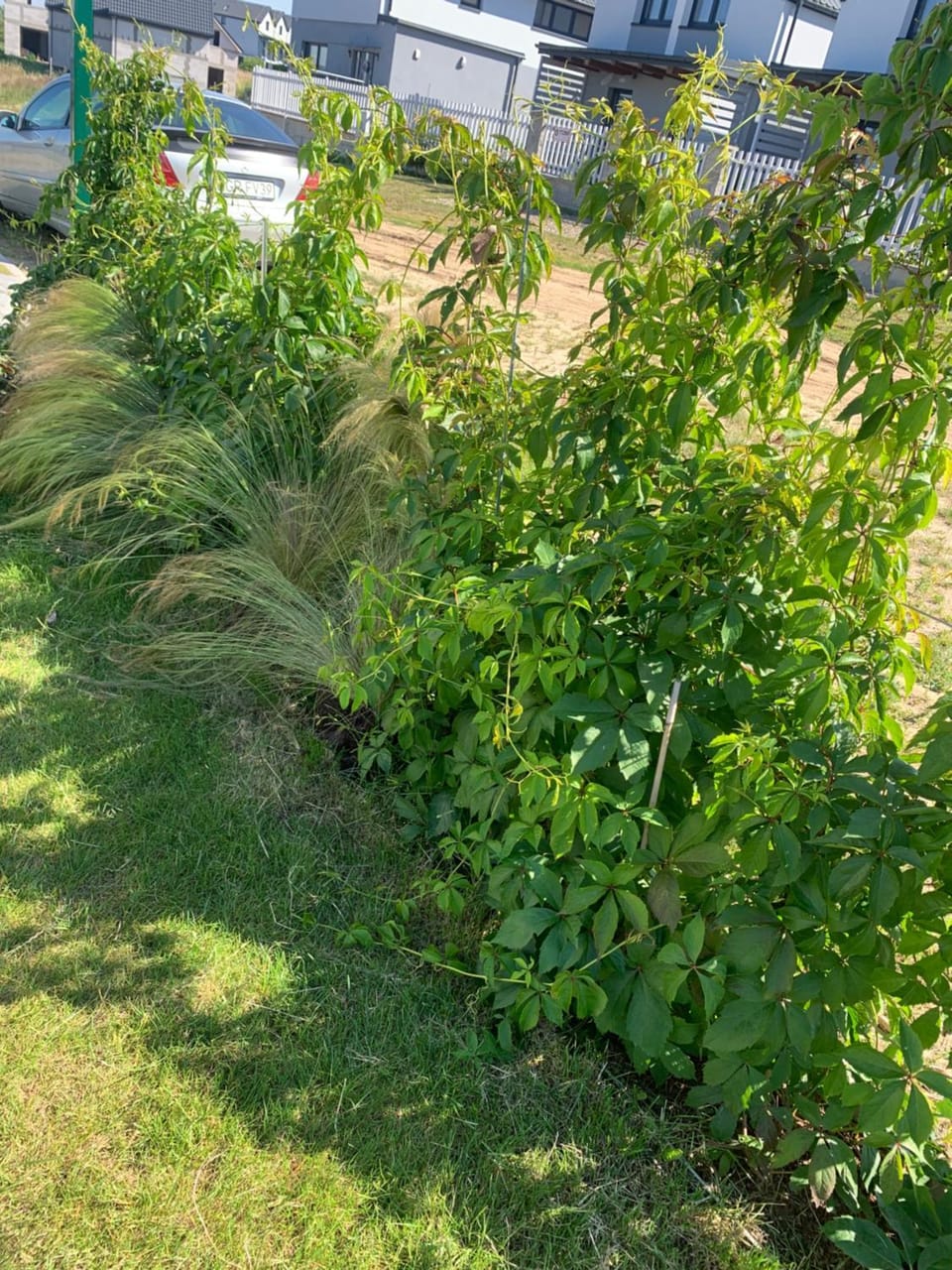 Albatrosa 17 - apartament nr 3 Apartment in West Pomeranian Voivodeship, Poland