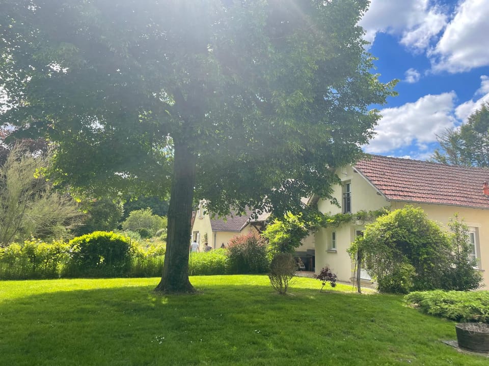Property building, Garden, Garden view