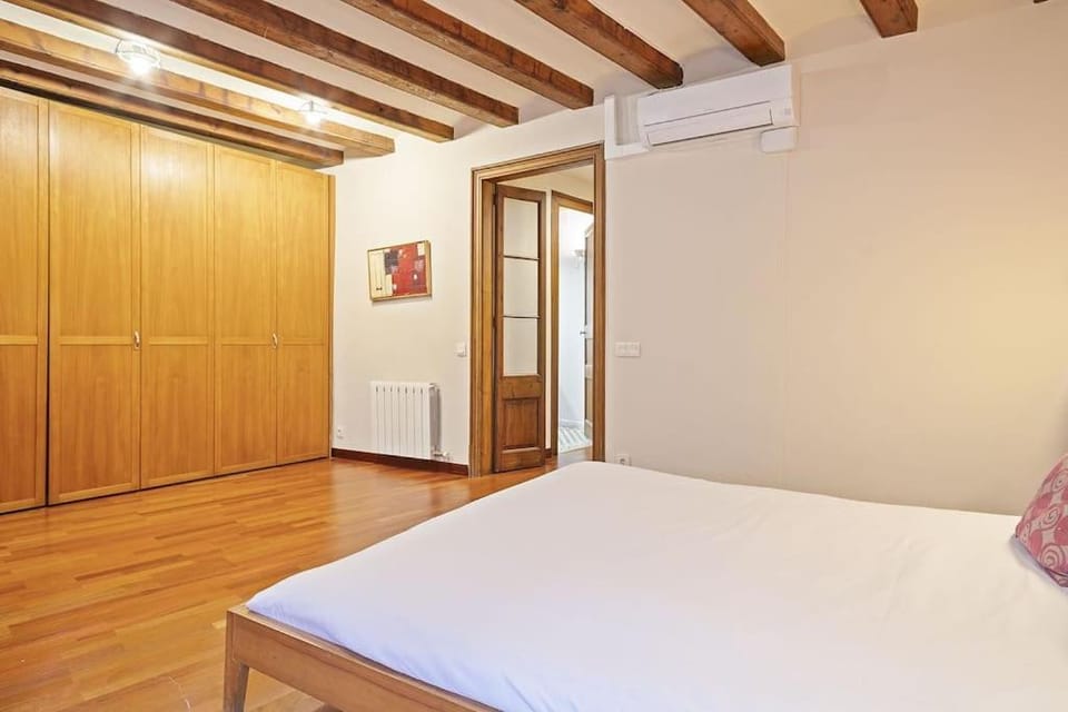 Alcam Sombrerers Apartment in Barcelona