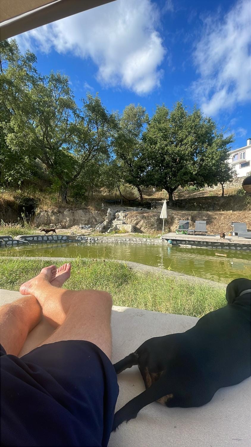 Monkey Tiny Barnhouse with amazing views at ZevariClub! House in Coimbra District, Portugal