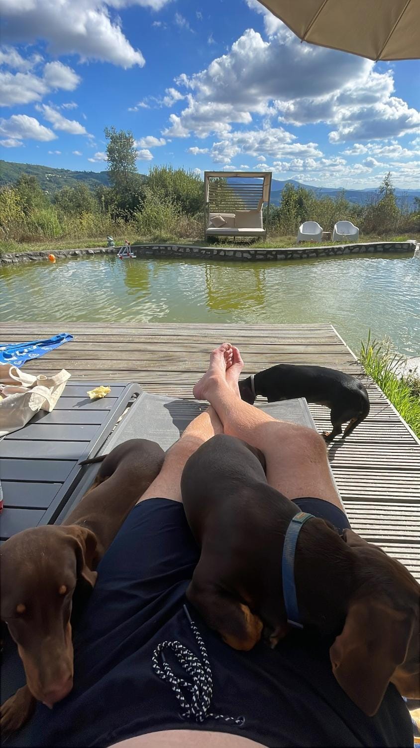 Monkey Tiny Barnhouse with amazing views at ZevariClub! House in Coimbra District, Portugal