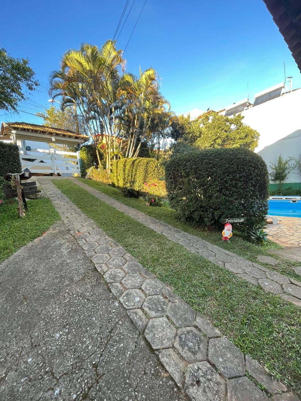Day, Natural landscape, Garden, Garden view, Pool view, Swimming pool