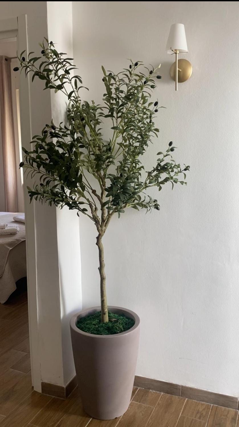 StoneHouse Oasis - Sant'Isidoro House in Apulia