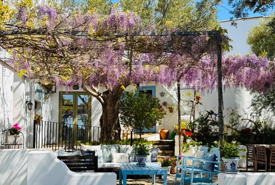 Patio, Spring, Day, Natural landscape, Garden, View (from property/room), Balcony/Terrace, Seating area, Garden view