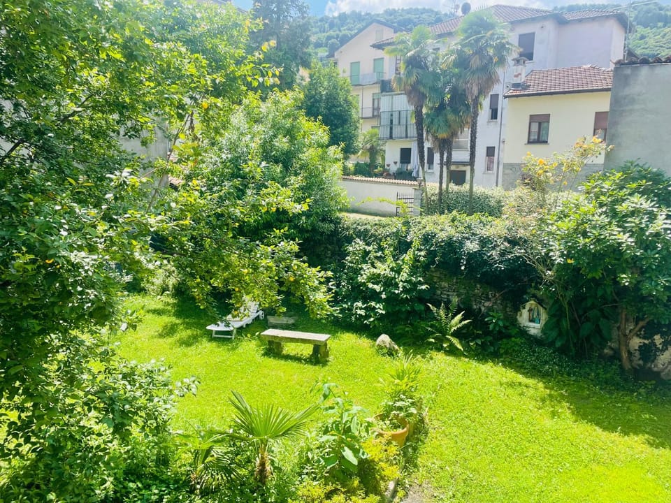 Garden view
