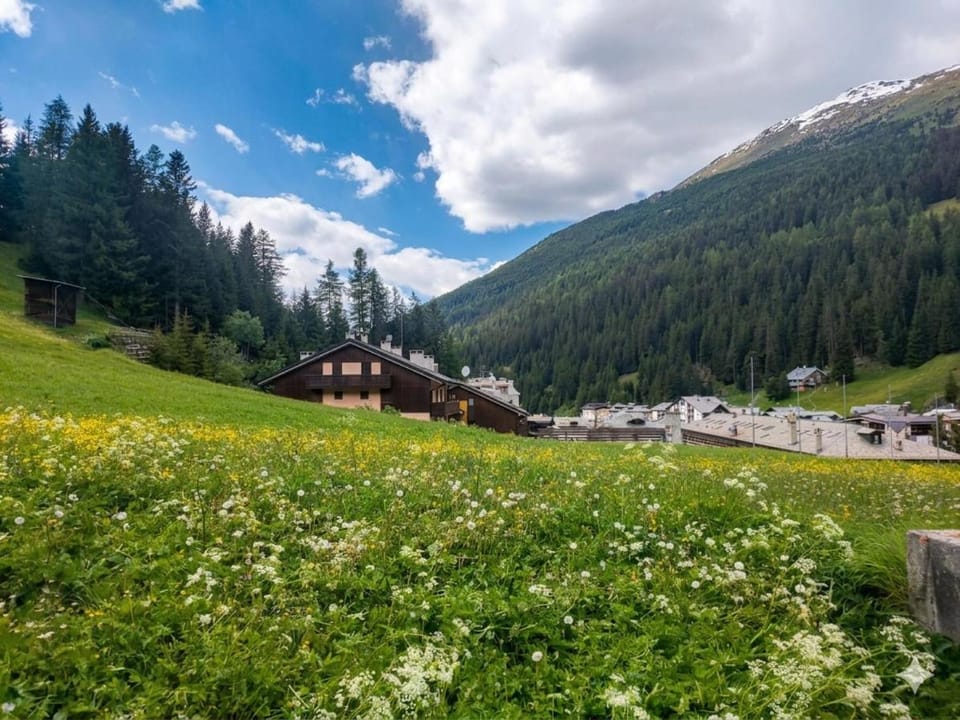 Ary Holiday Home Ski , Bike & Walk Apartment in Santa Caterina di Valfurva