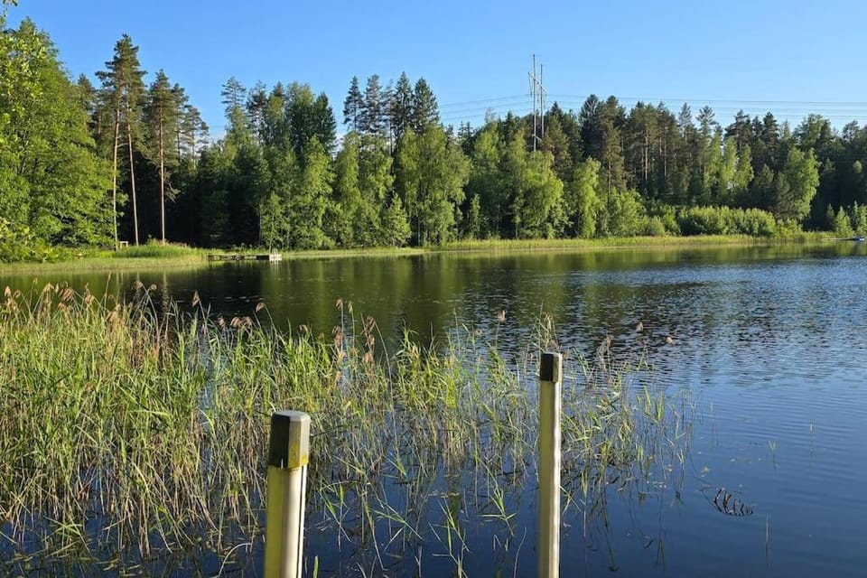 Lake view