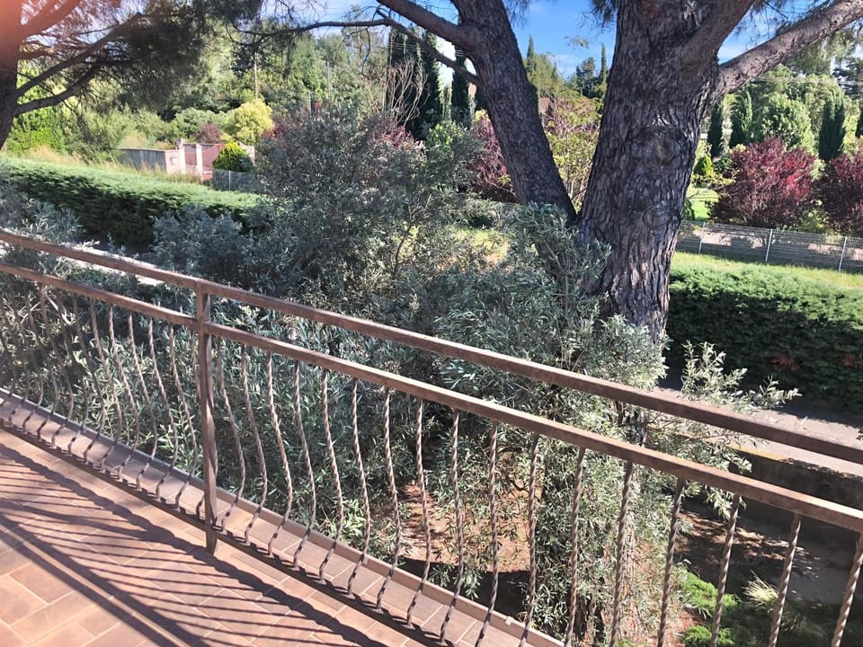 Natural landscape, Garden view