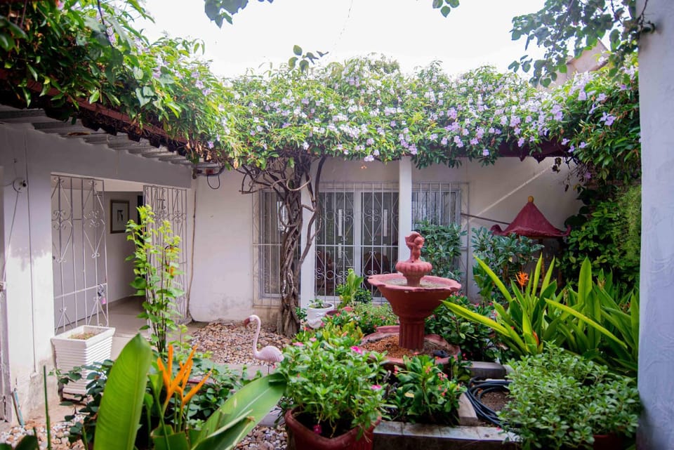 Garden, Garden view