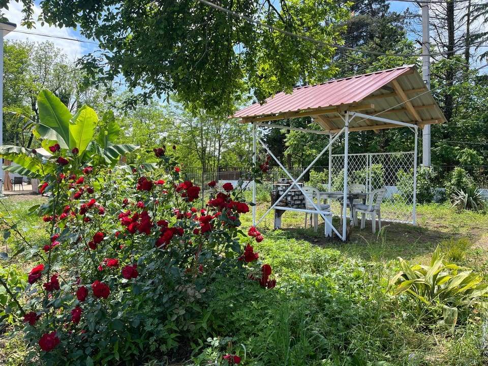 OK Sahli House in Georgia