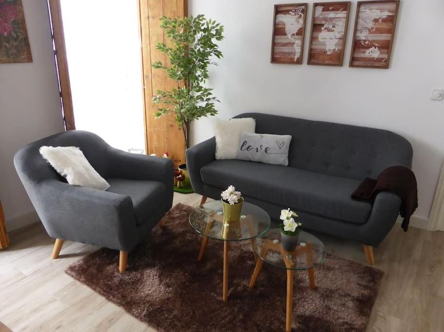 Apartamento 'Mini Jungle' en el corazón de Cádiz Apartment in Cadiz