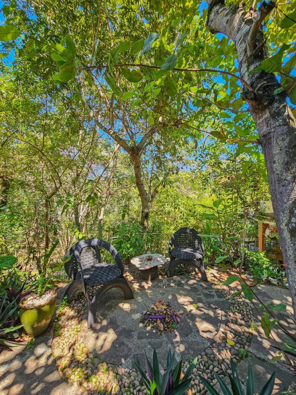Canto Verde Pousada Inn in State of Bahia