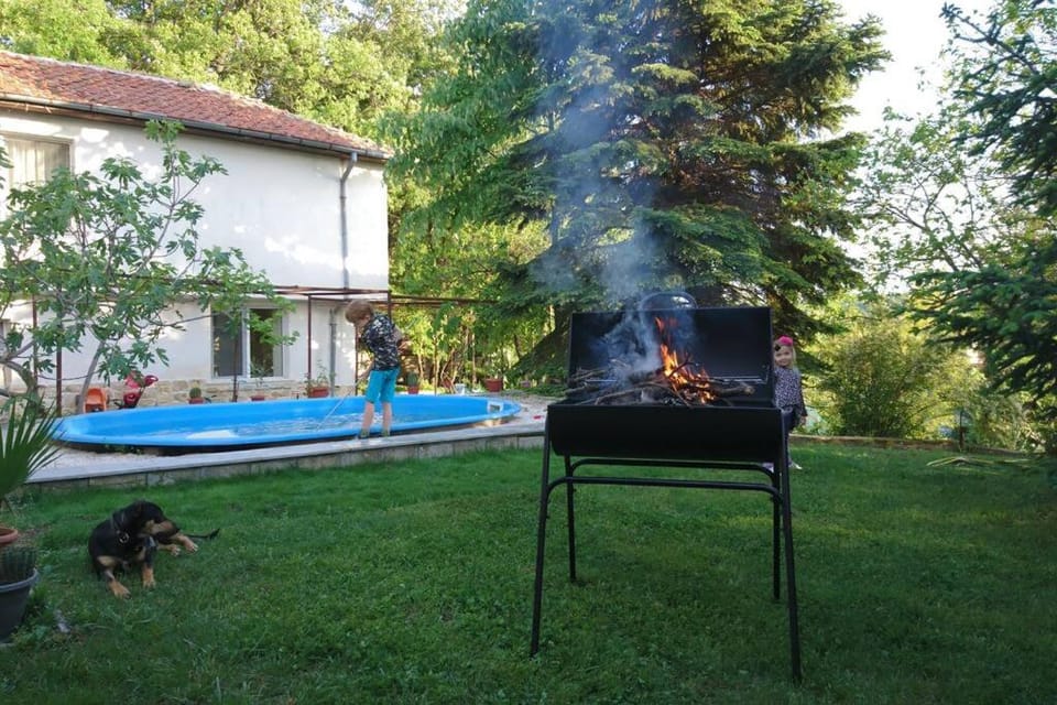 Forest house House in Varna