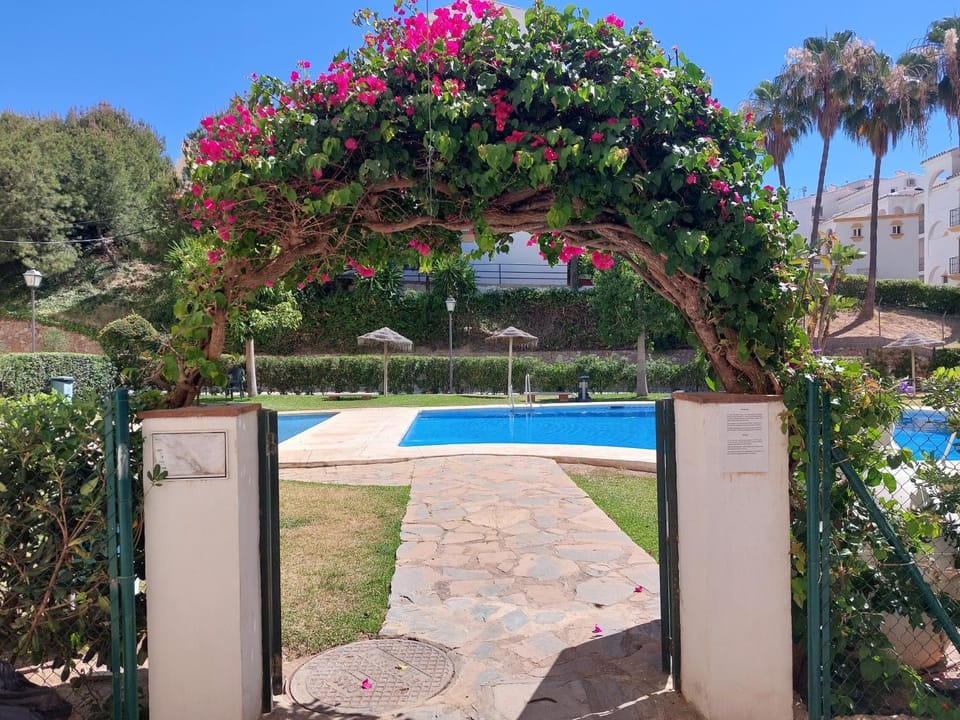 Garden, Garden, Balcony/Terrace, Swimming pool