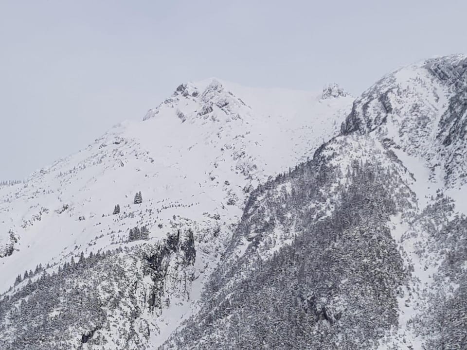Natural landscape, Winter