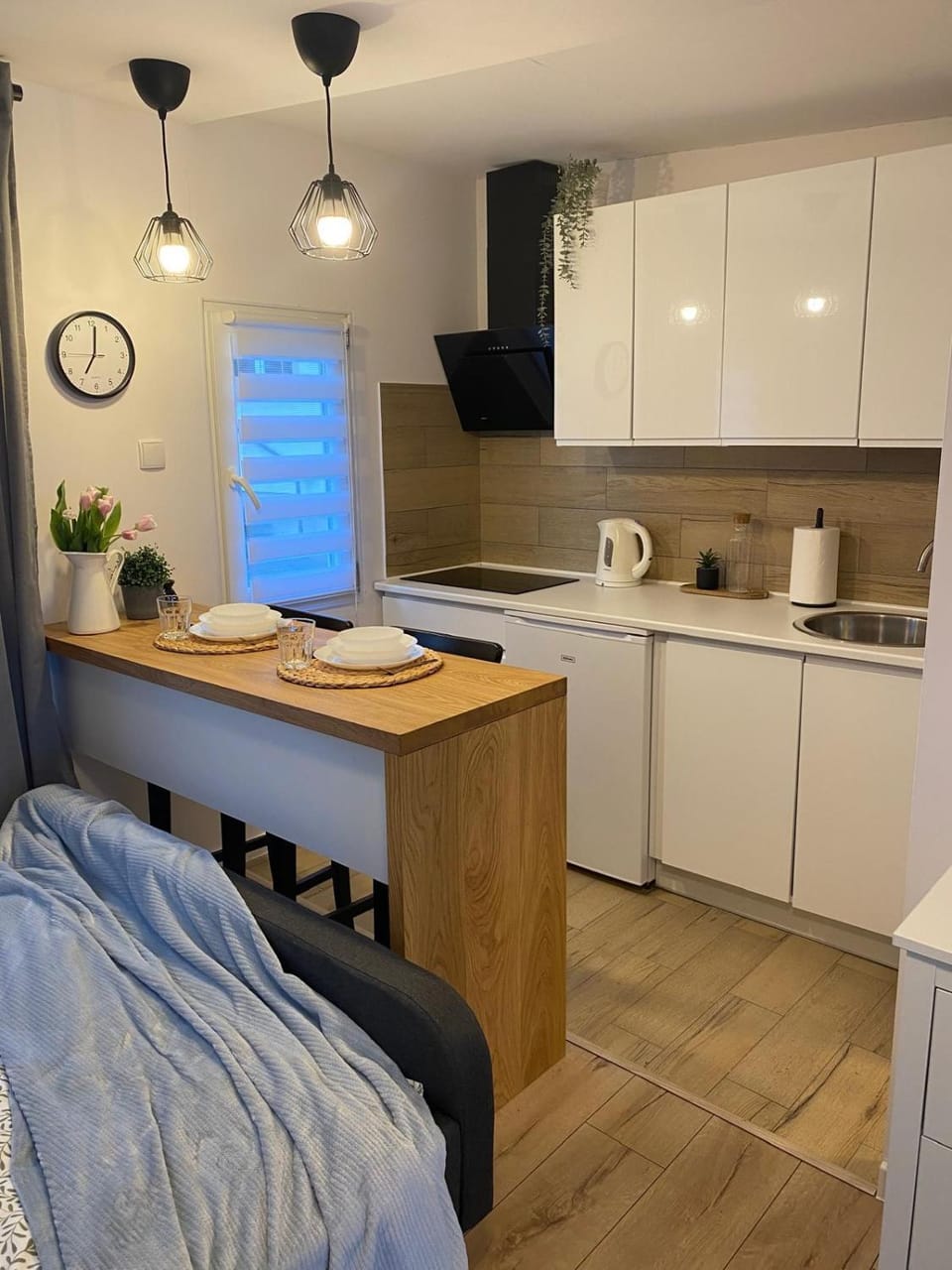 Bed, Kitchen or kitchenette, Photo of the whole room, Bedroom, minibar, pet friendly, stove