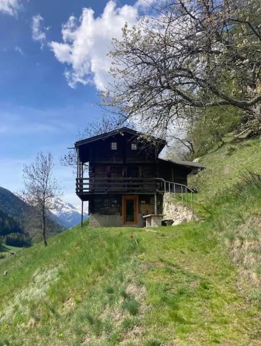 Property building, Spring