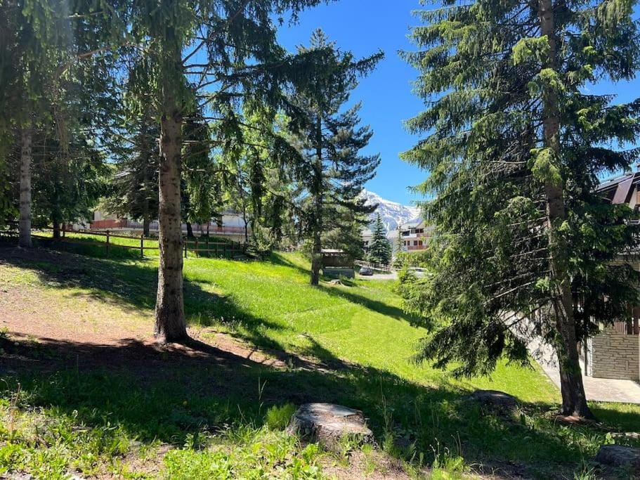 Appartamento in mezzo al verde Apartment in Sauze d'Oulx