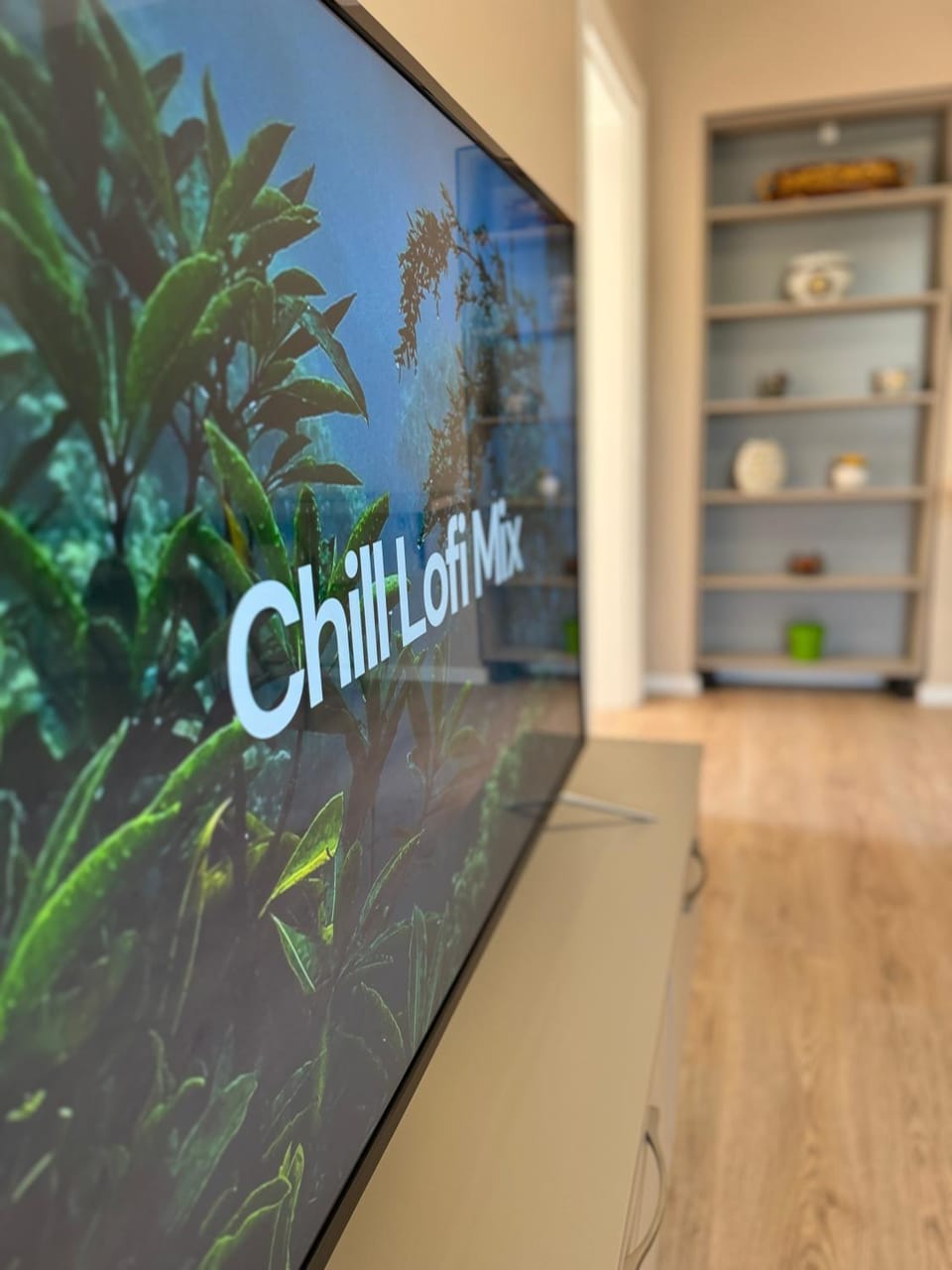 TV and multimedia, Evening entertainment