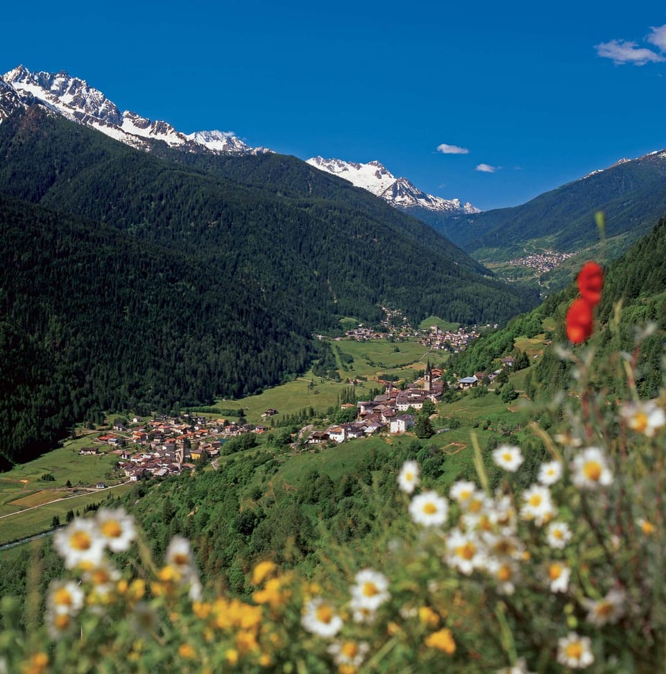 Kuky's Val di Sole Retreat Apartment in Province of Brescia