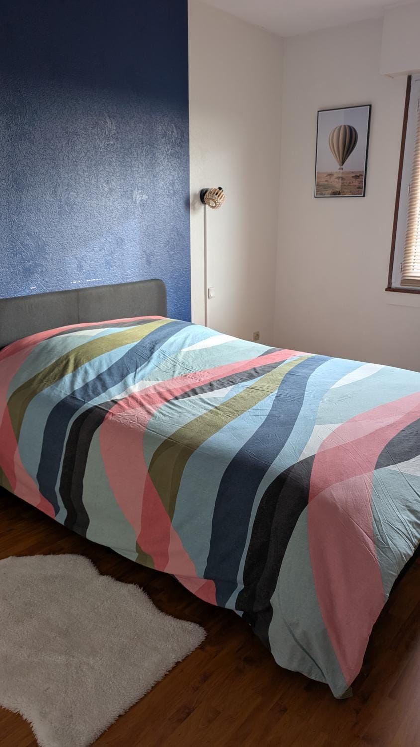 Joli appartement proche gare Apartment in Grand Est