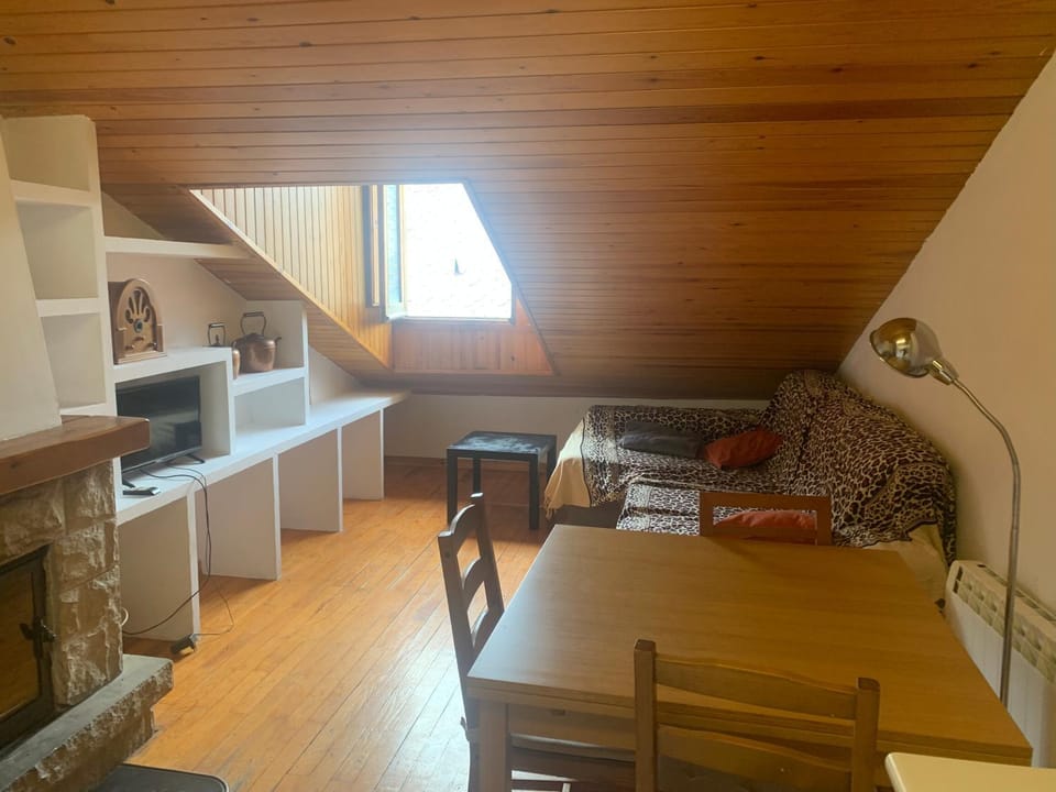 Ot Molino Apartment in Benasque