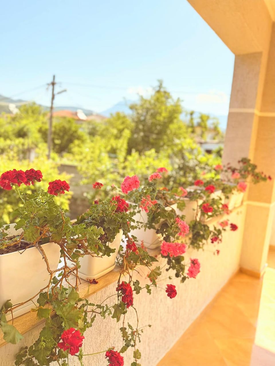 Day, Natural landscape, Balcony/Terrace