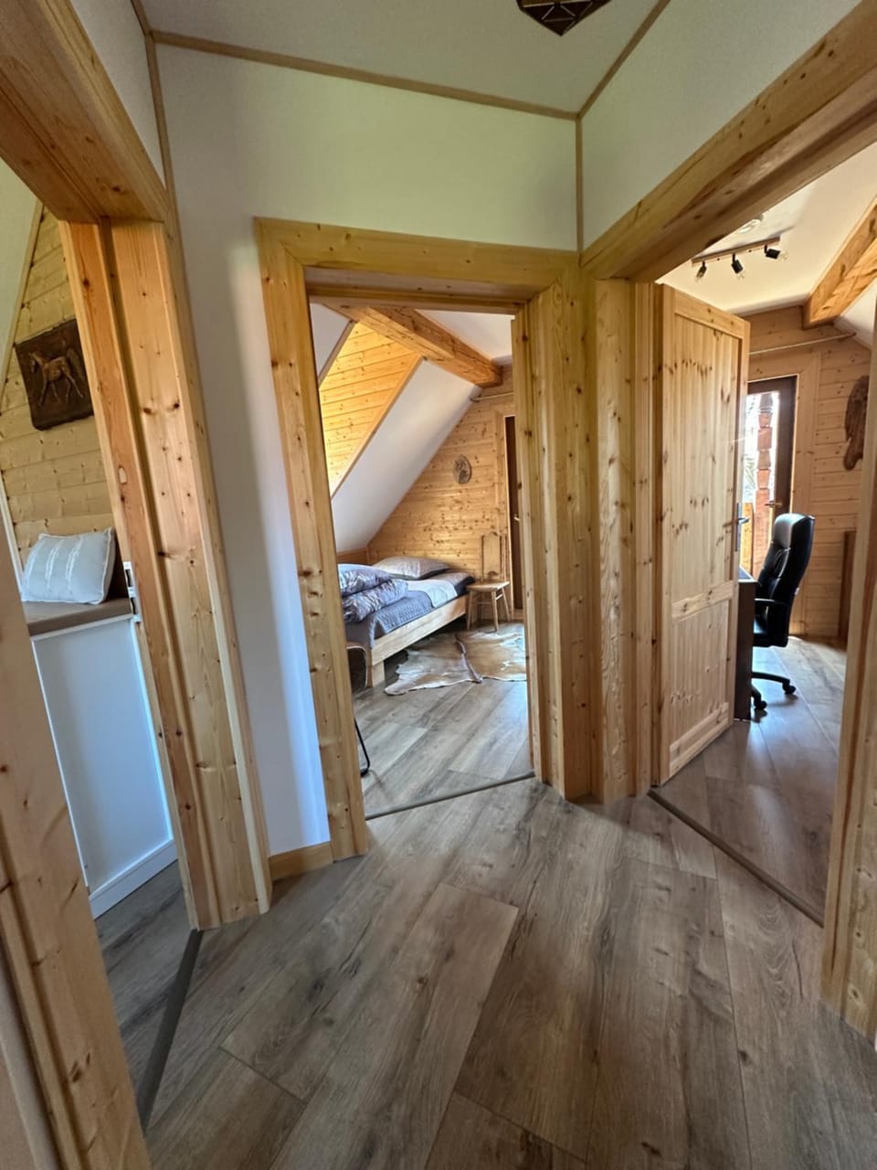 Bieszczady ClaraArt House in Poland