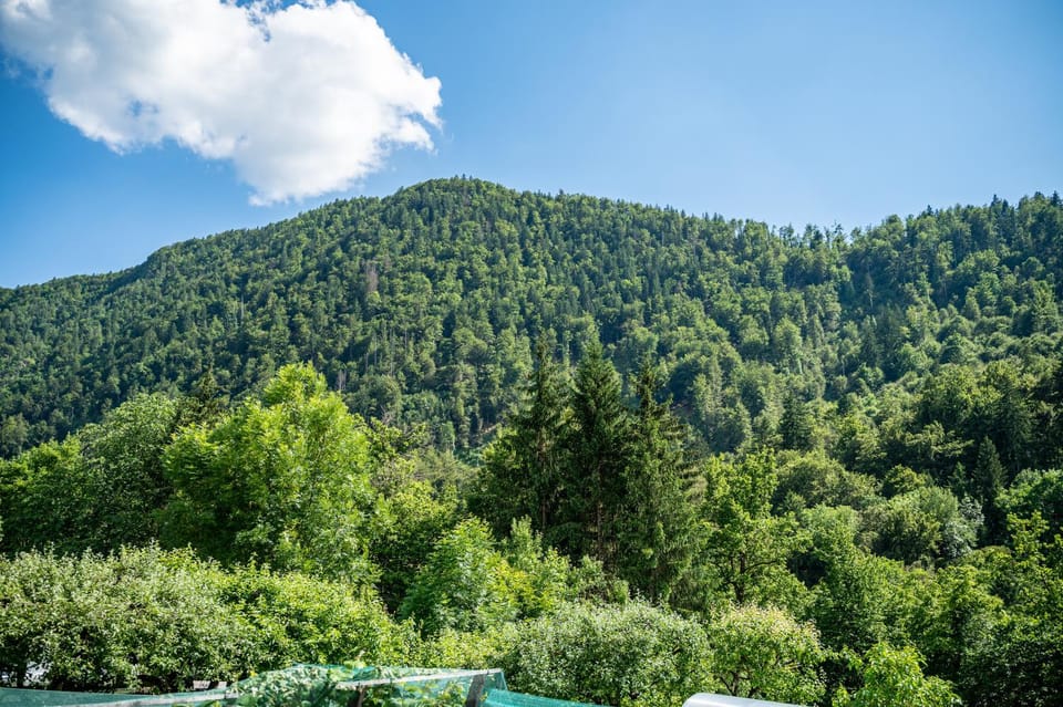 Apartma Mimi Vacation rental in Slovenia