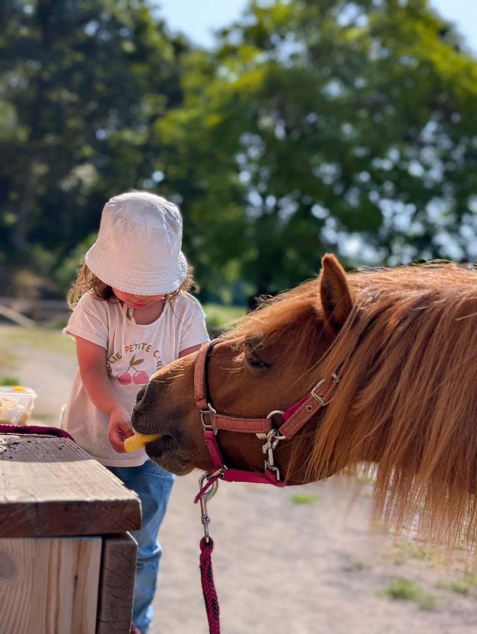 Horse-riding