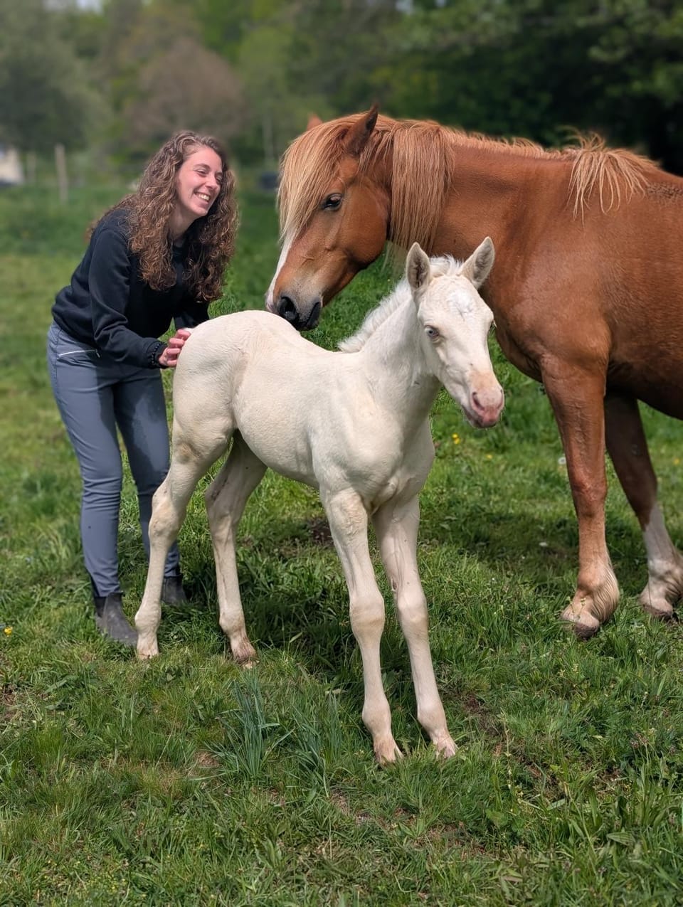 Horse-riding
