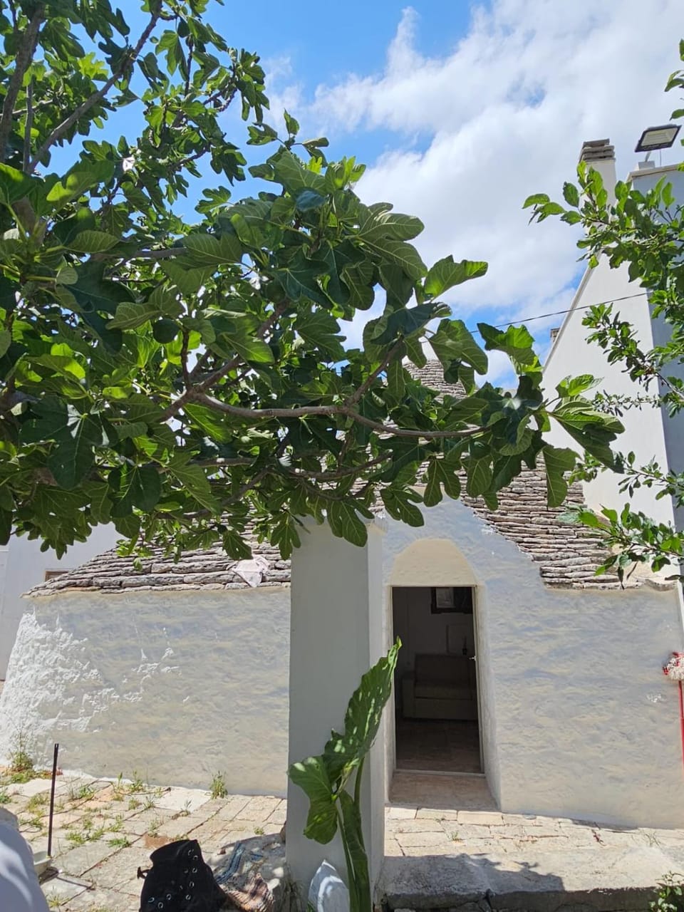 Property building, Spring, Day, Natural landscape