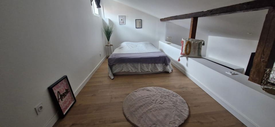 Le duplex Toulousain Apartment in Toulouse