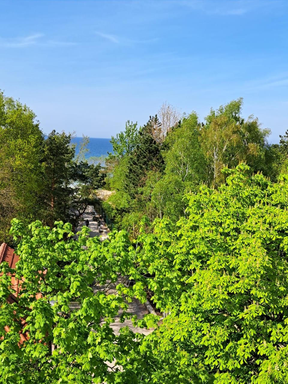 Natural landscape, Balcony/Terrace, Sea view