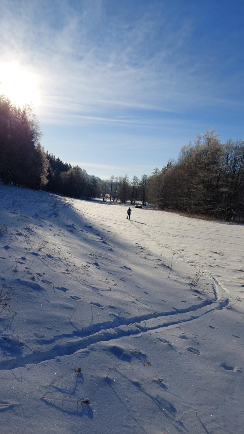Natural landscape, Winter