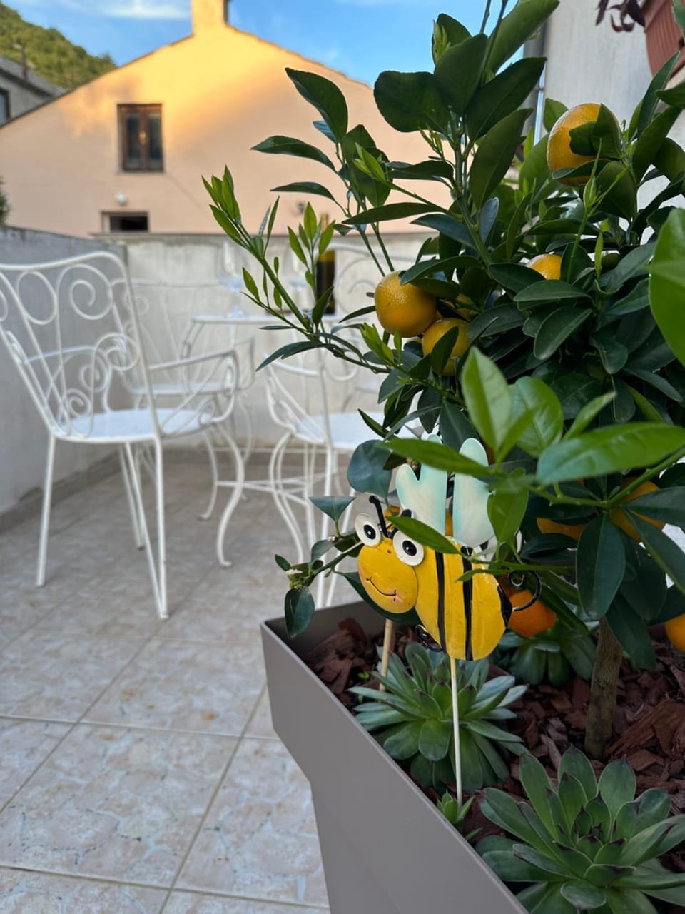Day, Balcony/Terrace, Seating area, Garden view