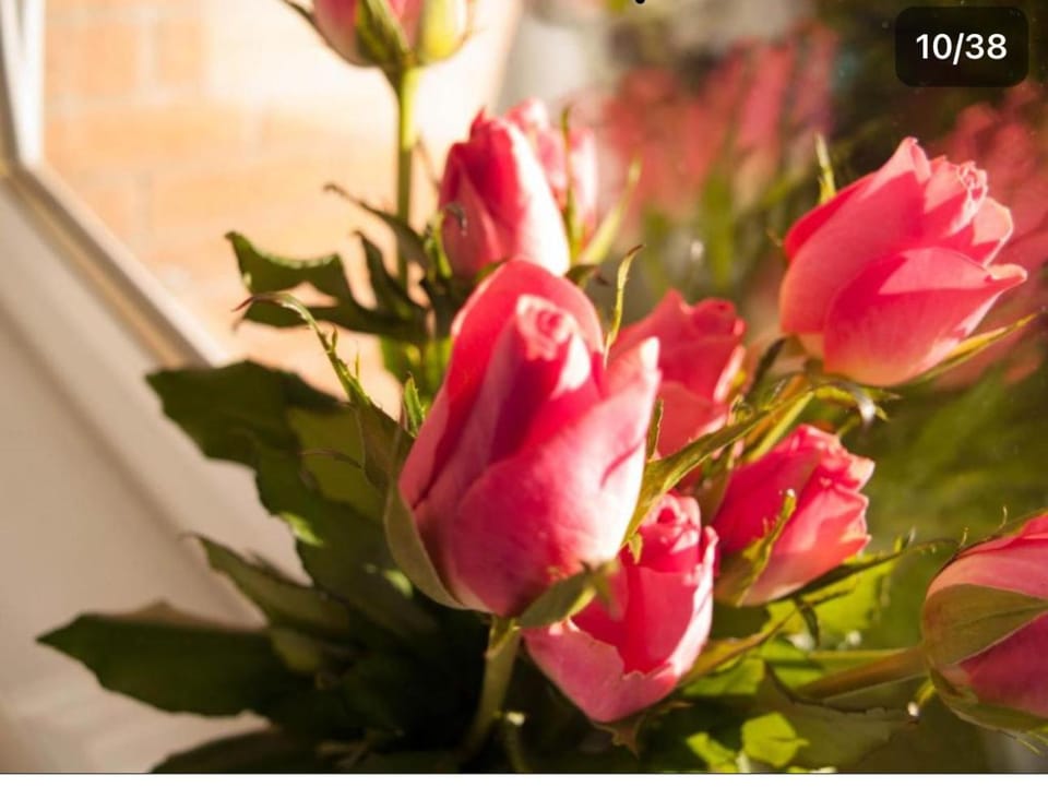 HLA king court 3 Apartment in Bellshill