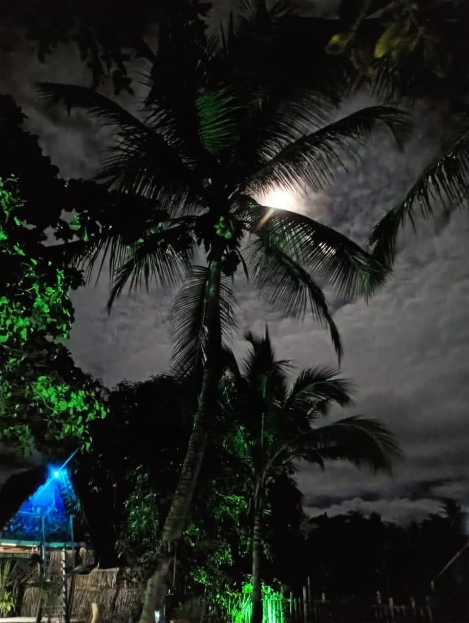 Night