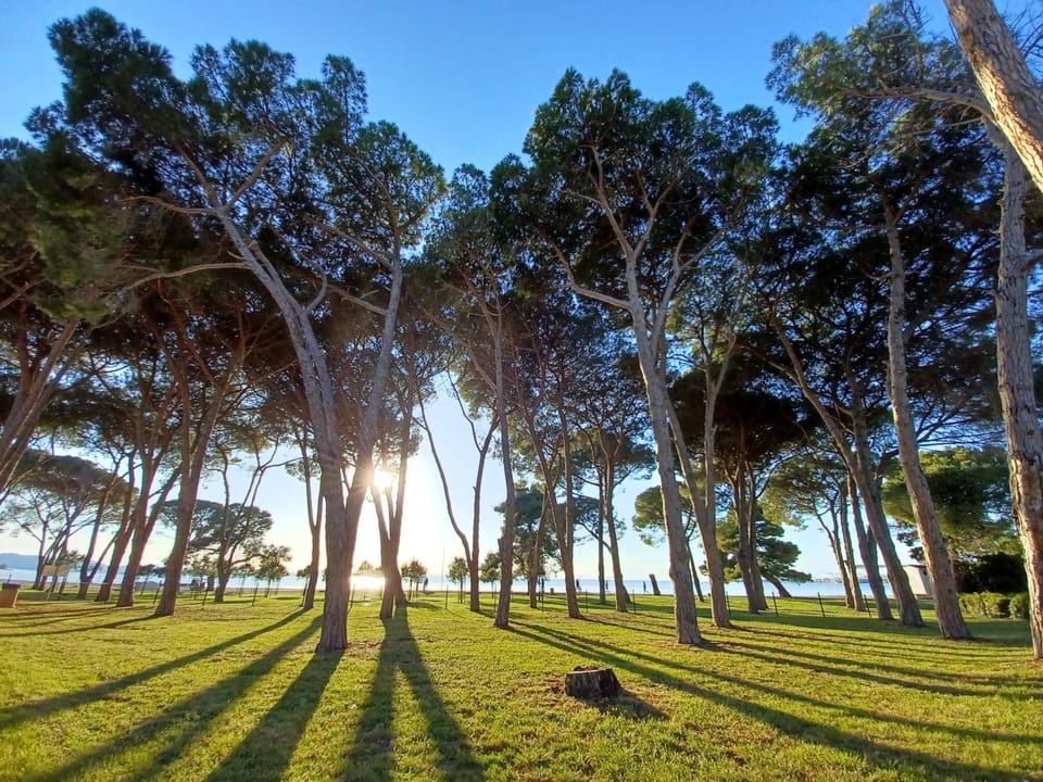 Neighbourhood, Natural landscape, Beach