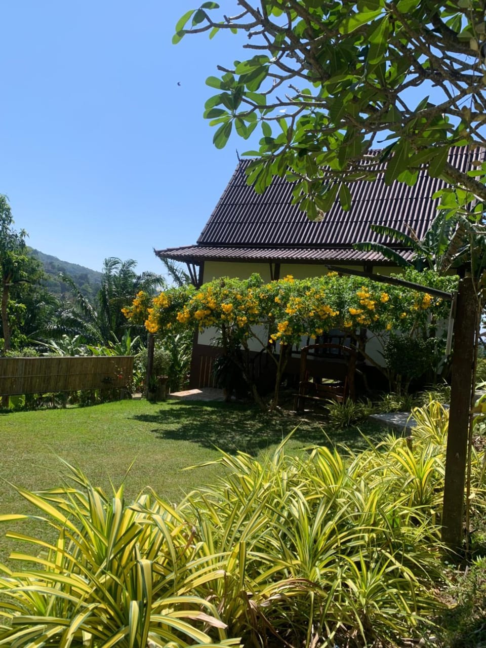 Spring, Day, Natural landscape, Garden, Garden view